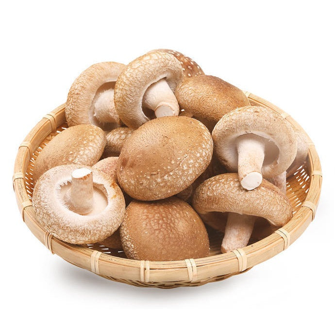 Fresh Shiitake Mushroom 新鮮日本椎茸