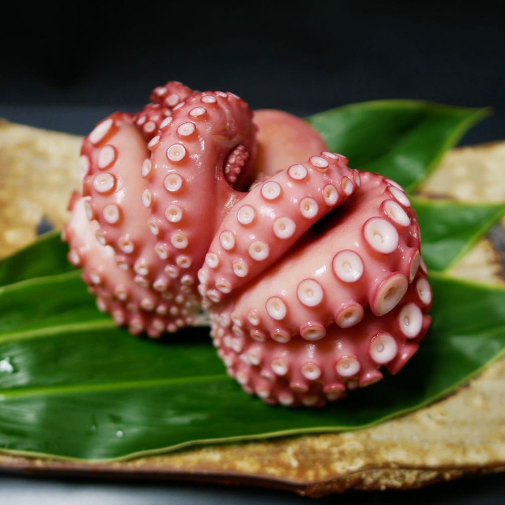 Boiled Atlantic Octopus 日式水煮章魚
