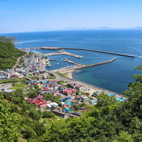 Dried Hokkaido Rausu Kinki 北海道羅臼喜知次一夜干