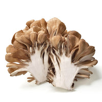 Maitake Mushroom 新鮮舞茸